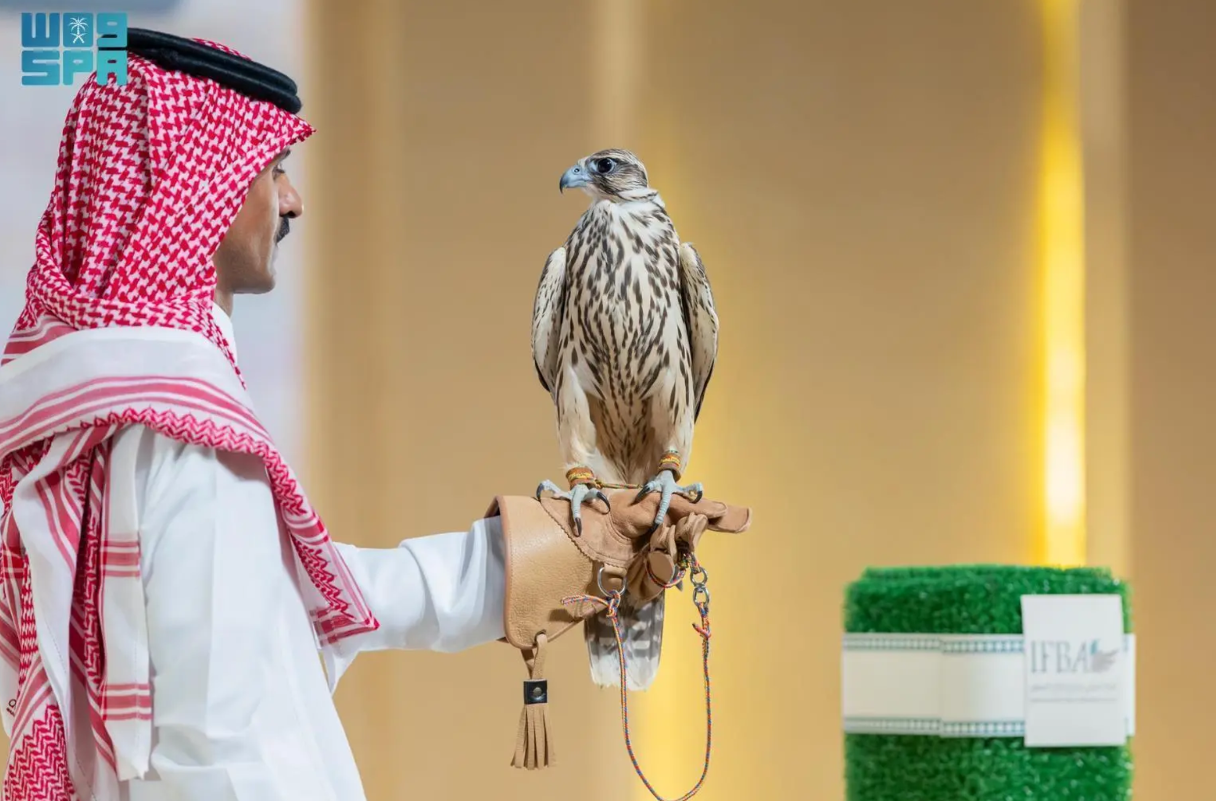 Riyadh Daily