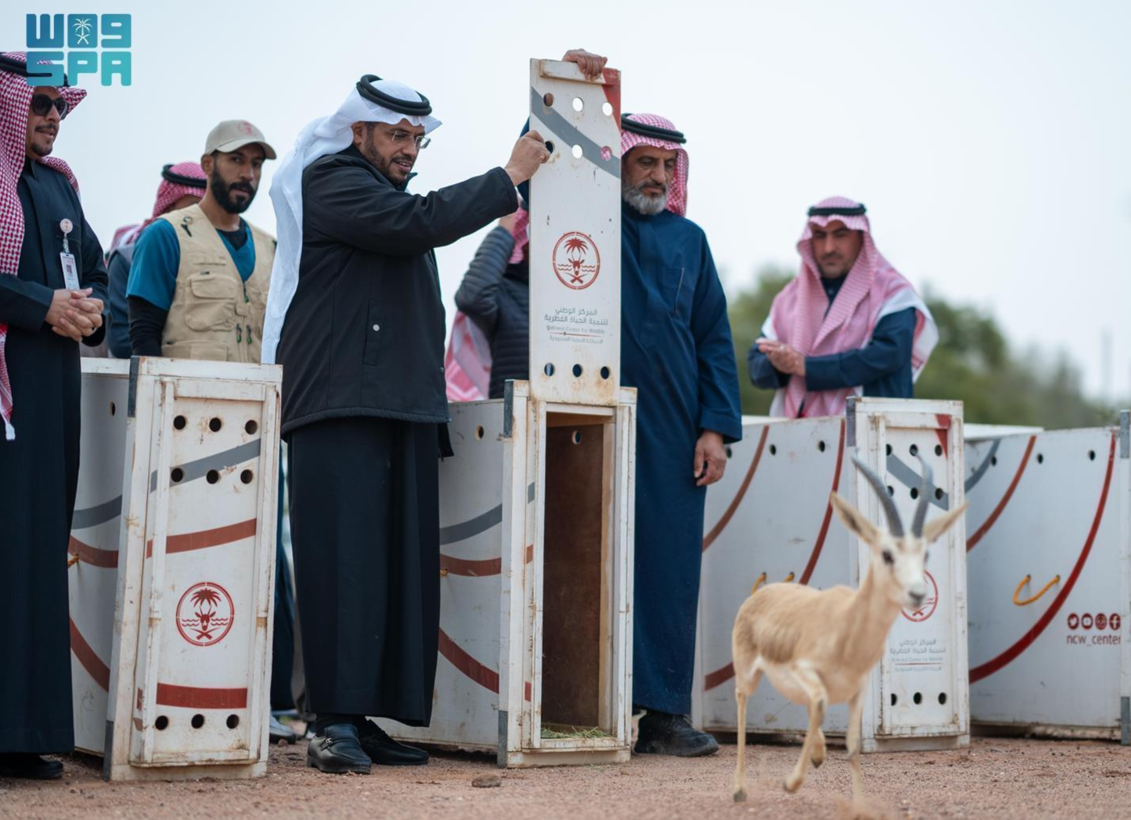 Riyadh Daily