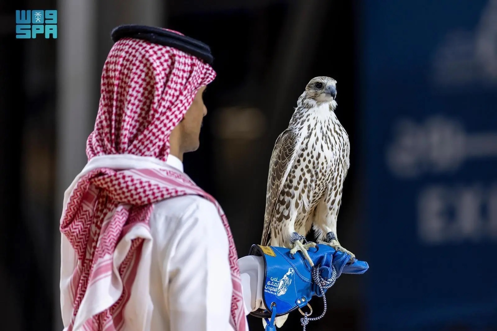 Riyadh Daily