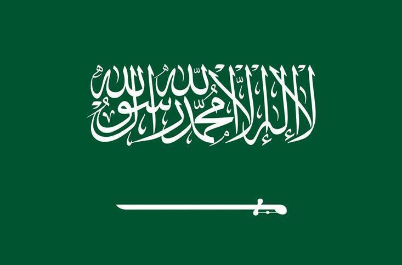 Image accompanying this story from Riyadh Daily