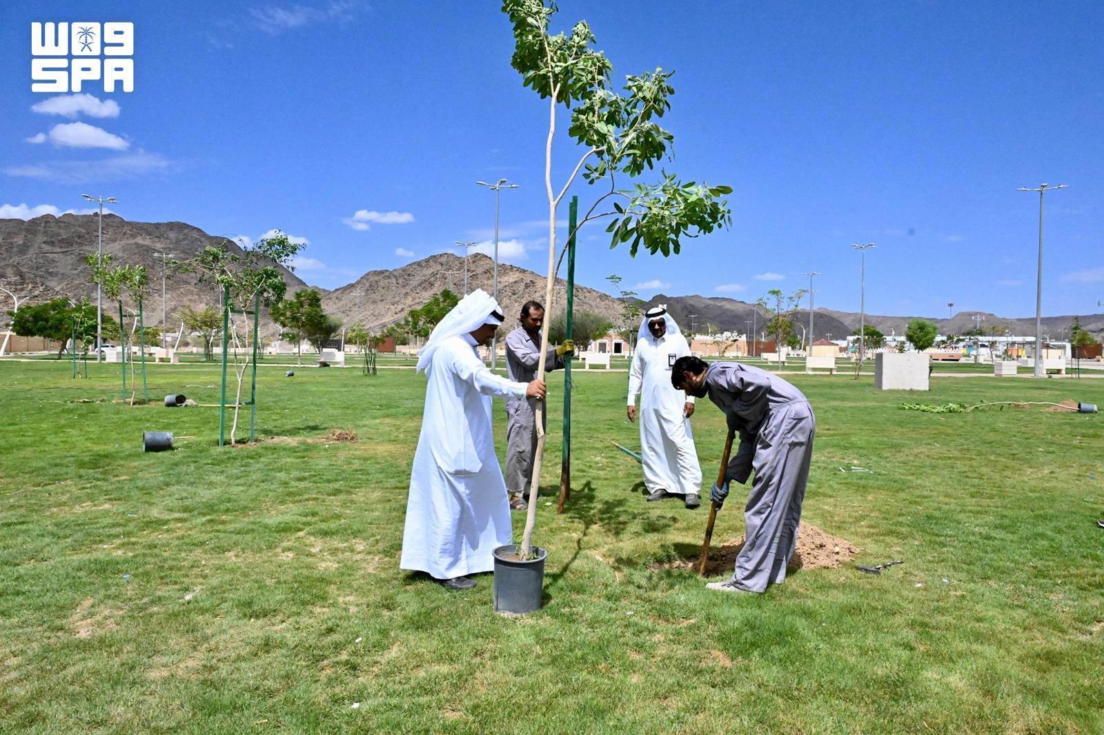 Image accompanying this story from Riyadh Daily